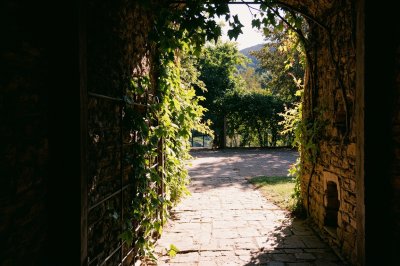 AI-generated travel thumbnail for Valleruela de Pedraza