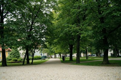 AI-generated travel thumbnail for Vierșani