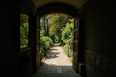 AI-generated travel thumbnail for Viforoasa