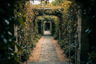 AI-generated travel thumbnail for Virieu