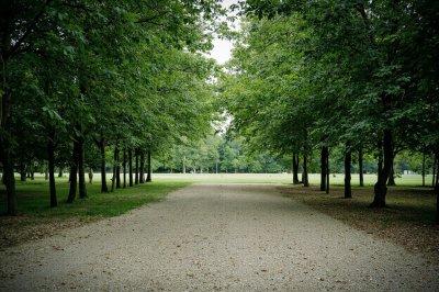 AI-generated travel thumbnail for Vrigne-aux-Bois