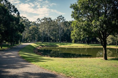 AI-generated travel thumbnail for Walkervale