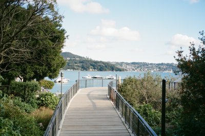 AI-generated travel thumbnail for Wellington
