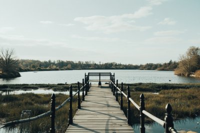 AI-generated travel thumbnail for Wiesmoor